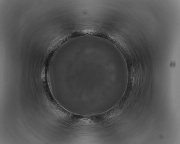 X0000090760502200708031633