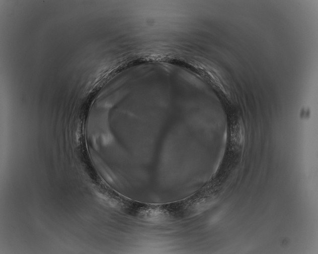 X0000090760503200708031633