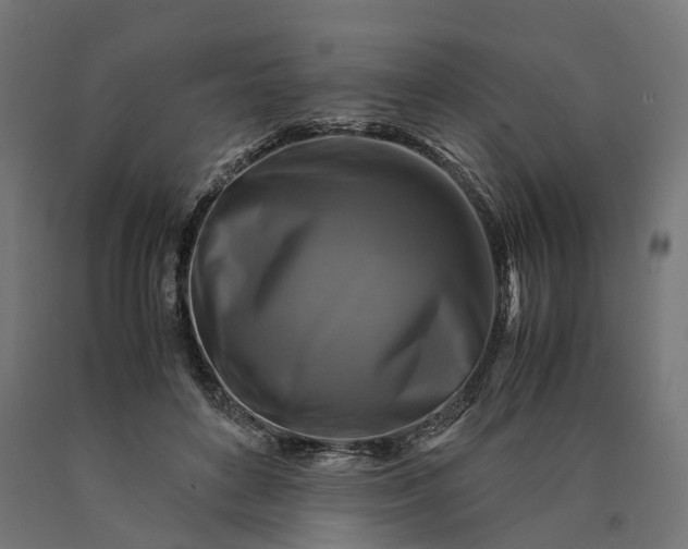 X0000090760504200708031633