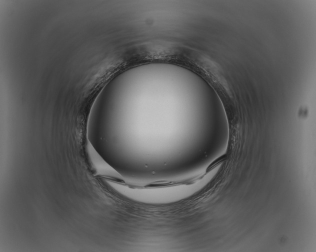 X0000090760505200708031633