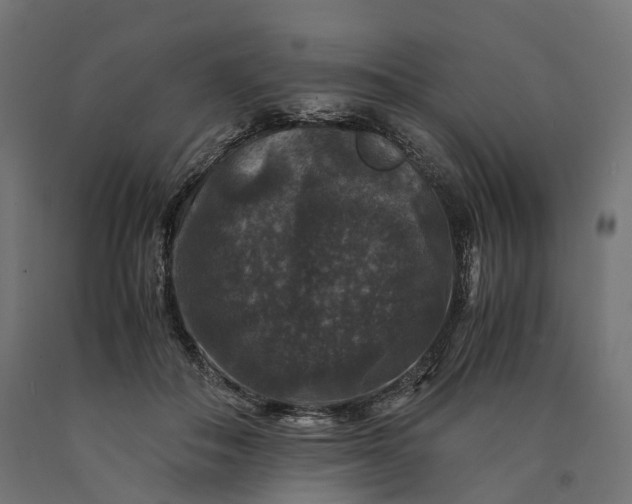 X0000090760506200708031633