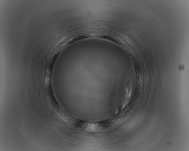 X0000090760507200708031633