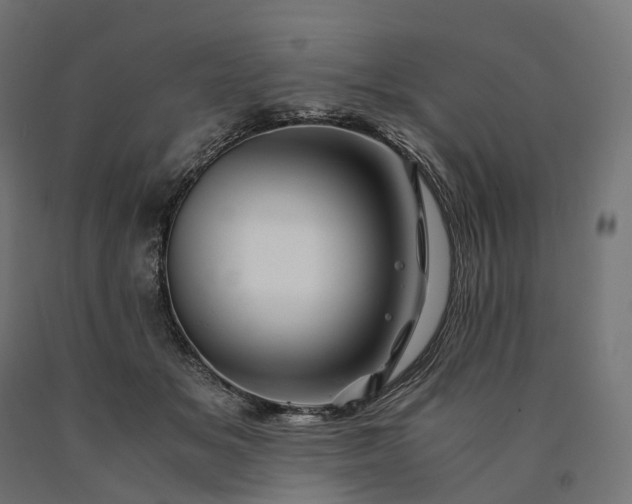 X0000090760509200708031633