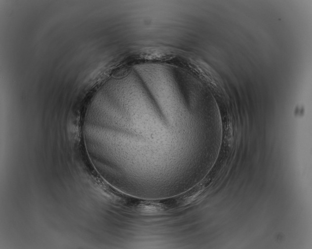 X0000090760510200708031633