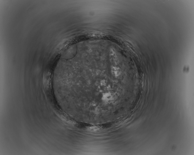 X0000090760511200708031633