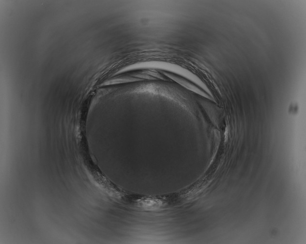 X0000090760512200708031633