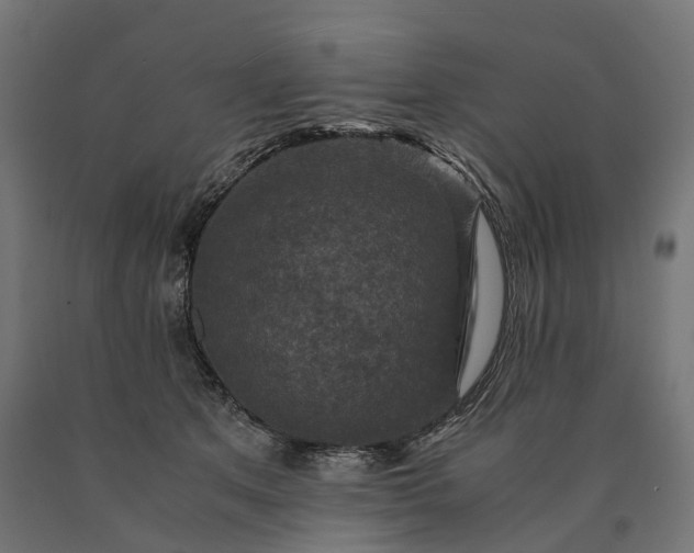 X0000090760513200708031633