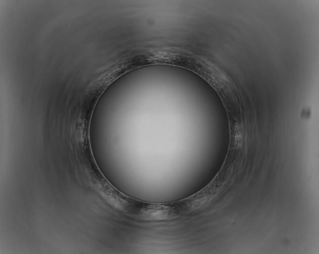 X0000090760514200708031633