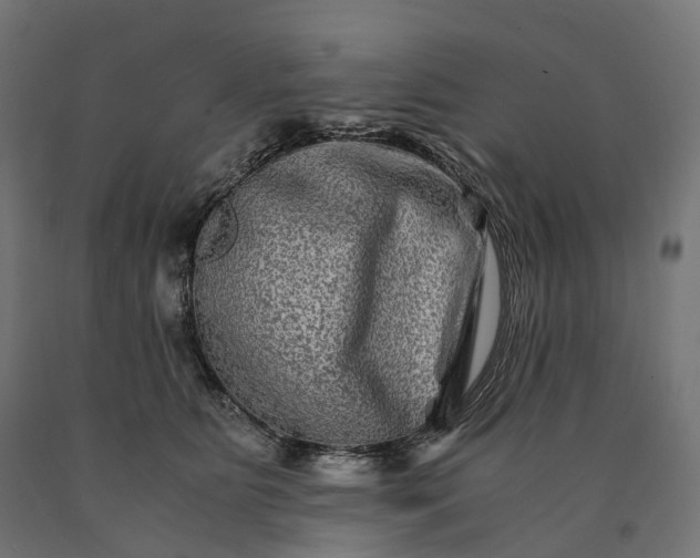 X0000090760515200708031633