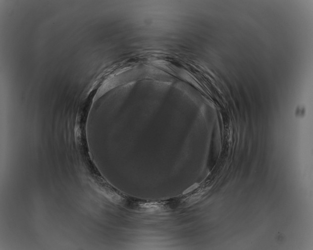 X0000090760516200708031633