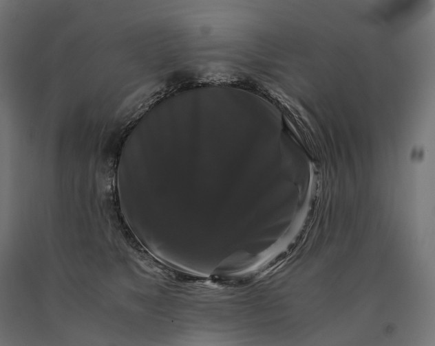 X0000090760517200708031633