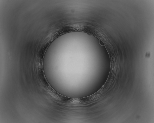 X0000090760518200708031633