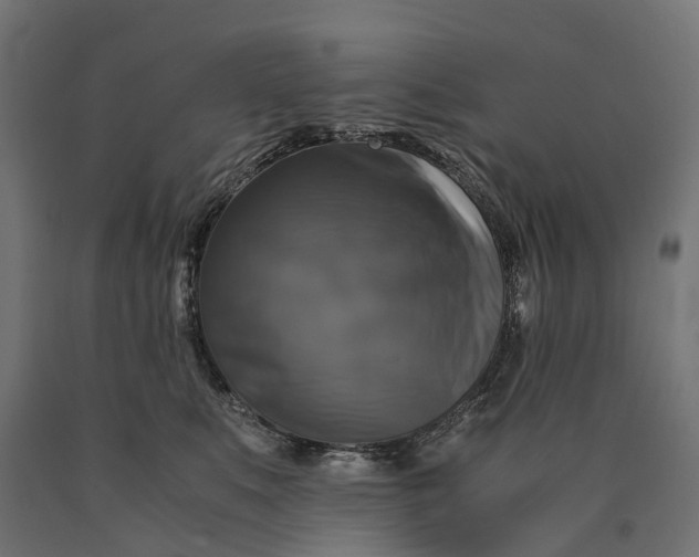 X0000090760519200708031633