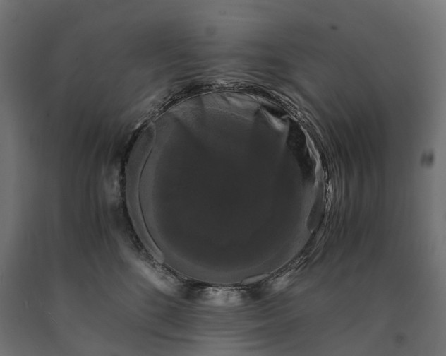 X0000090760520200708031633