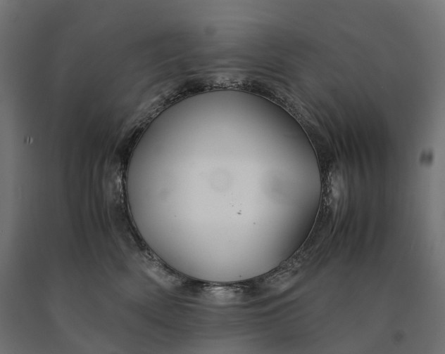 X0000090760522200708031633