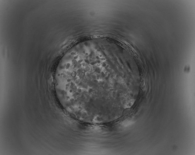 X0000090760523200708031633