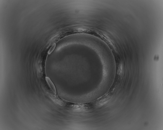 X0000090760524200708031633