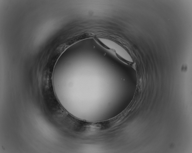 X0000090760525200708031633