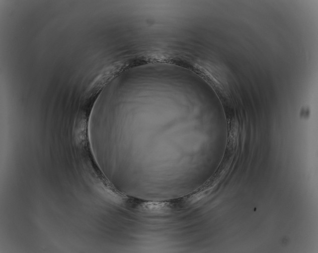 X0000090760526200708031633