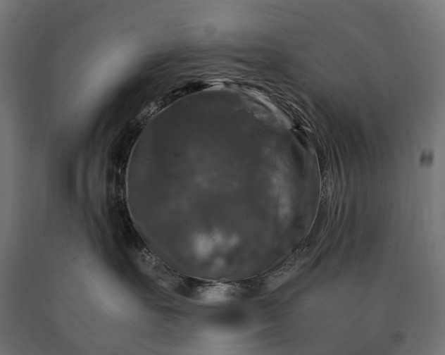 X0000090760527200708031633