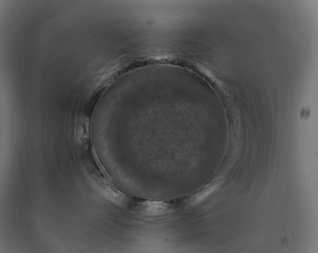 X0000090760528200708031633