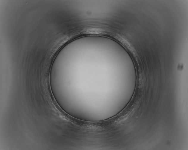 X0000090760529200708031632