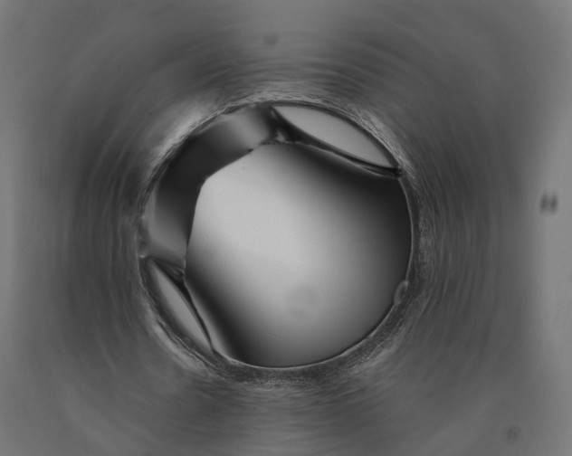 X0000090760530200708031632