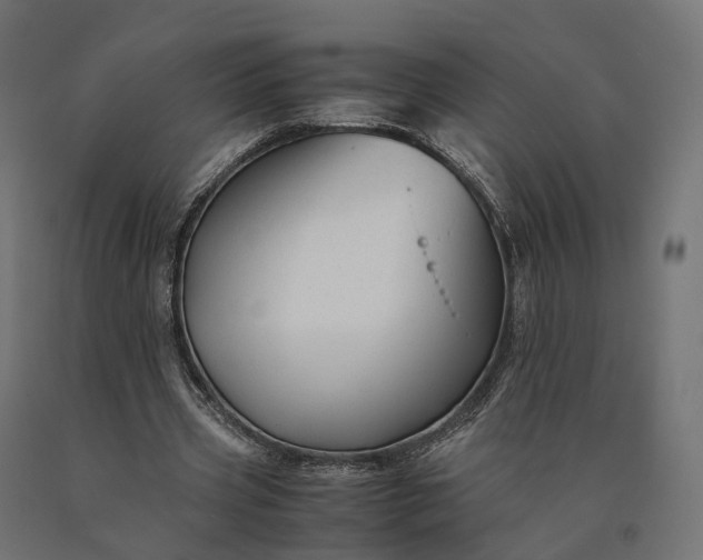 X0000090760533200708031632