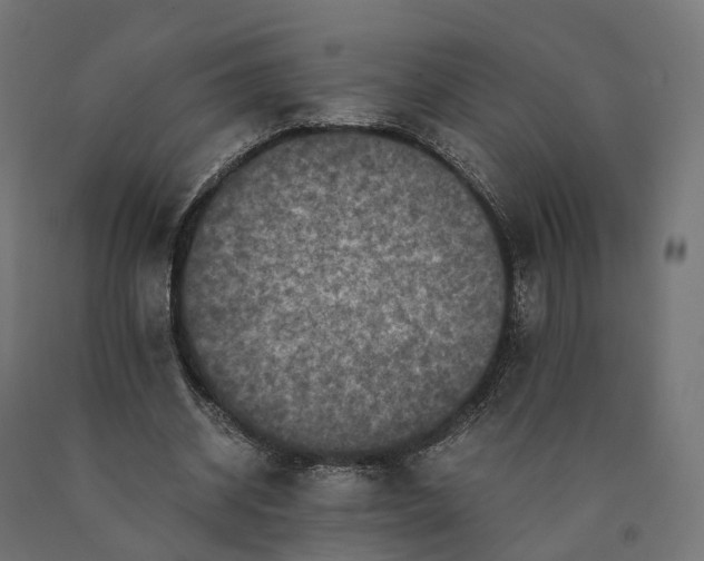 X0000090760534200708031632