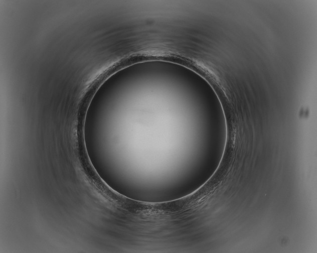 X0000090760535200708031632