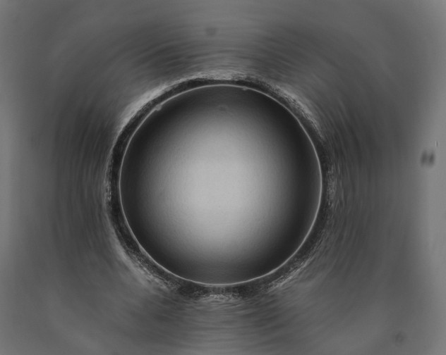 X0000090760536200708031632