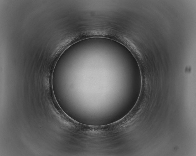 X0000090760537200708031632