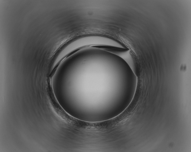 X0000090760538200708031632