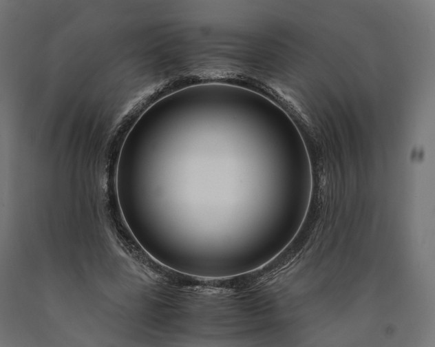 X0000090760539200708031632