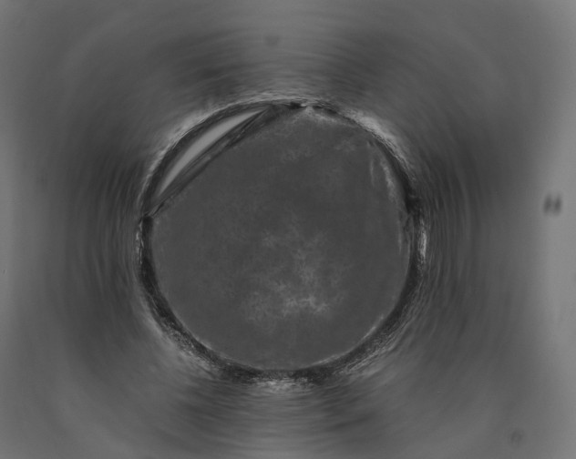 X0000090760540200708031632