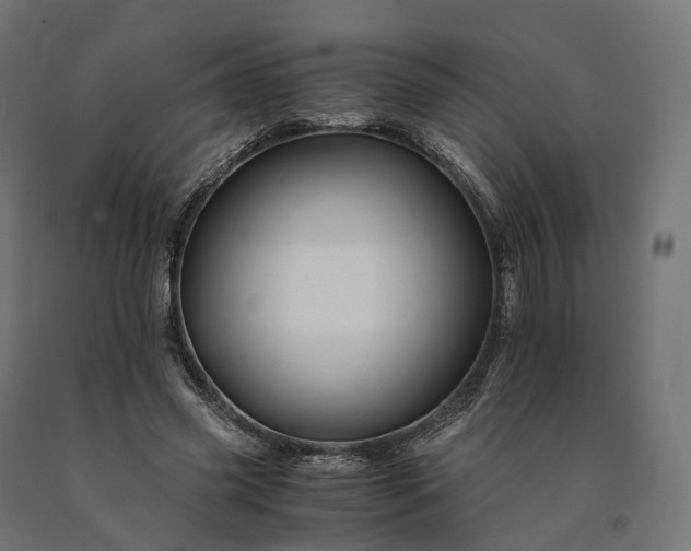 X0000090760541200708031632