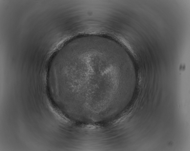 X0000090760542200708031632