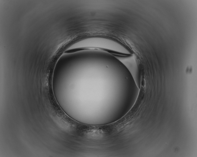 X0000090760543200708031632