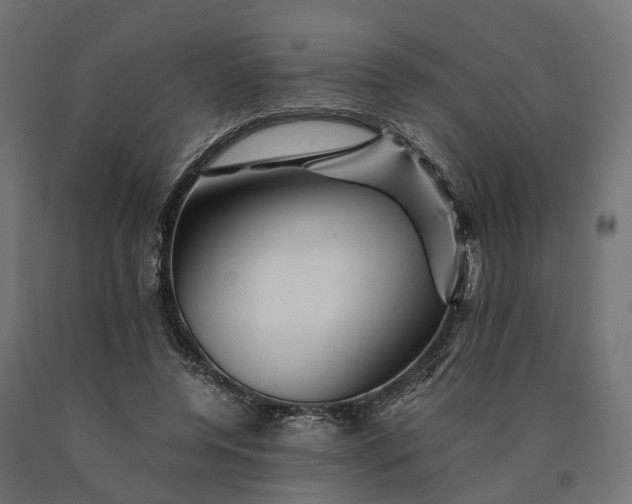 X0000090760544200708031632