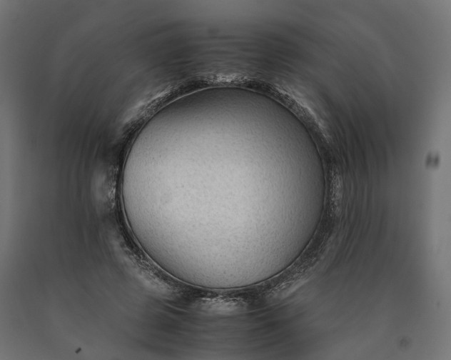 X0000090760545200708031632