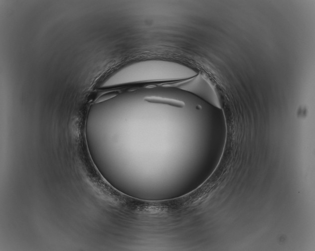 X0000090760546200708031632