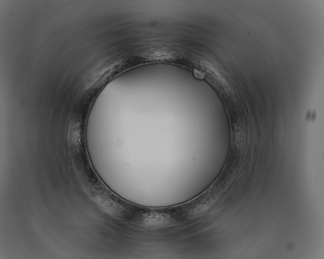 X0000090760549200708031632