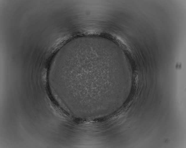 X0000090760550200708031632