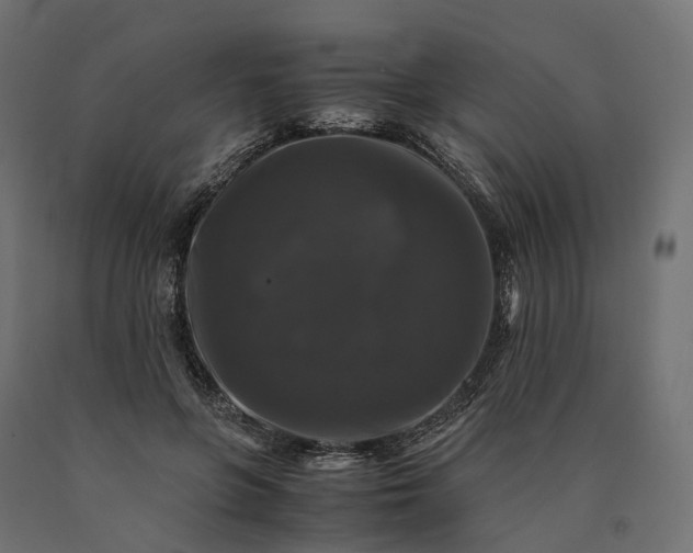 X0000090760551200708031632