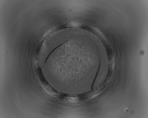 X0000090760552200708031632