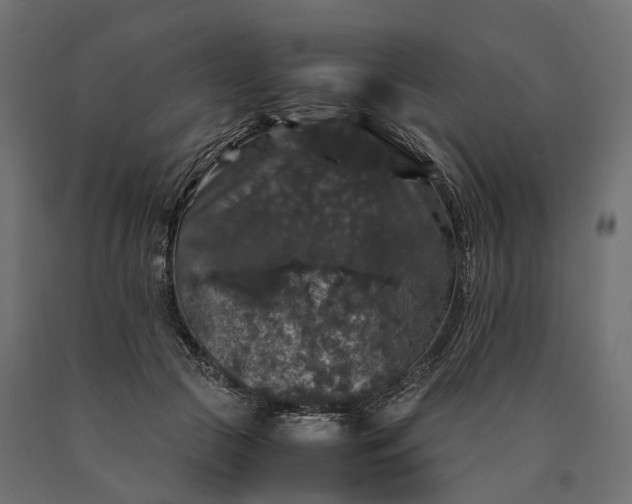 X0000090760553200708031632