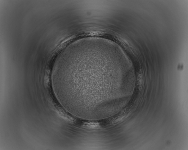 X0000090760554200708031632