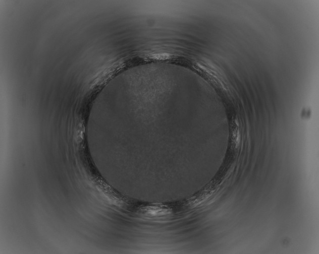 X0000090760555200708031632