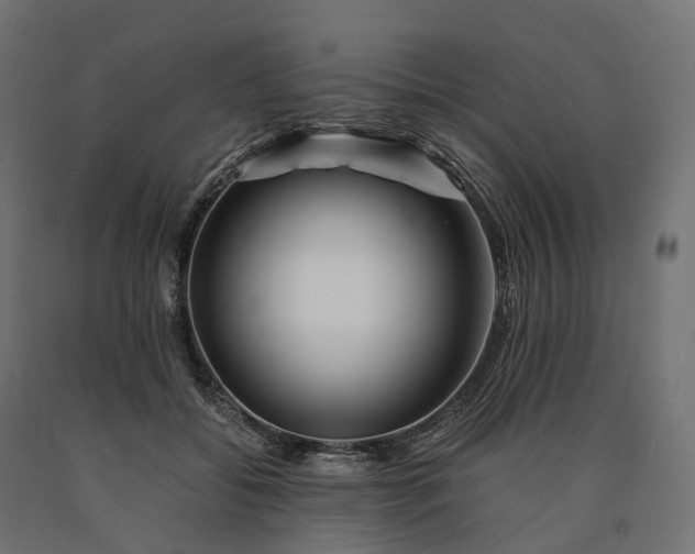 X0000090760556200708031632