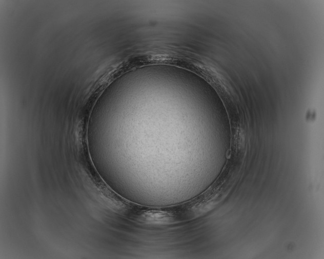 X0000090760557200708031632